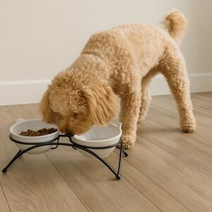 Pet Bowl Stand Only – No Bowls (Used, Missing Tab)